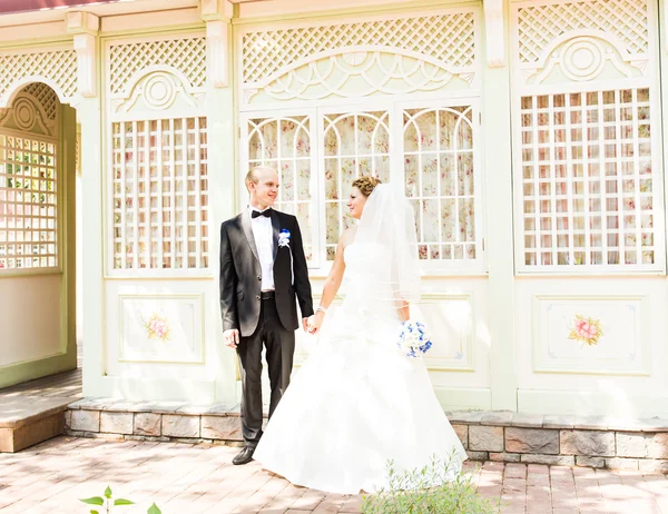 Sposa e sposo che si tengono per mano — Foto Stock