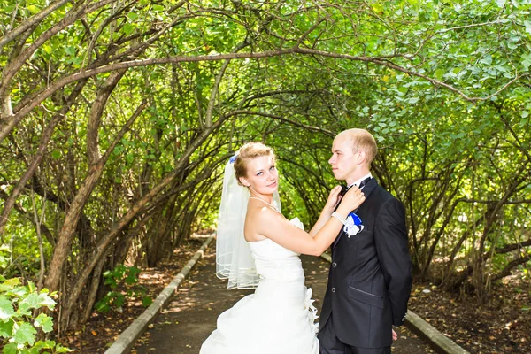 Bela noiva e noivo está desfrutando de casamento — Fotografia de Stock