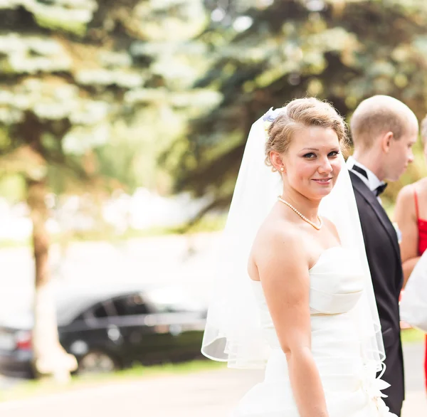 Hermosa novia y novio está disfrutando de la boda —  Fotos de Stock