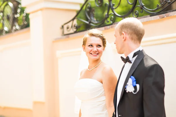 Krásná nevěsta a ženich se těší svatba — Stock fotografie