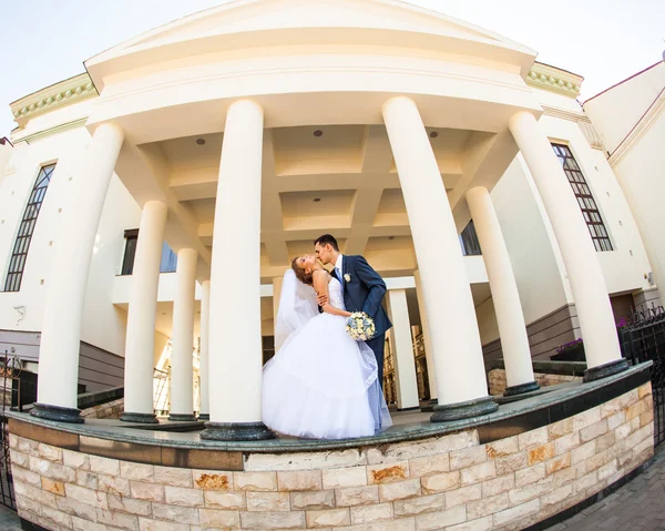 Pareja de boda abrazos y besos —  Fotos de Stock