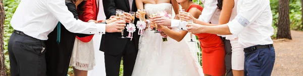 Bräutigam und Braut mit Gästen — Stockfoto
