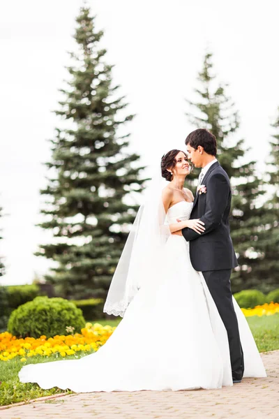 Glückliche Braut und Bräutigam zur Hochzeit — Stockfoto