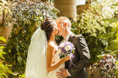 düğün. güzel çift öpüşme