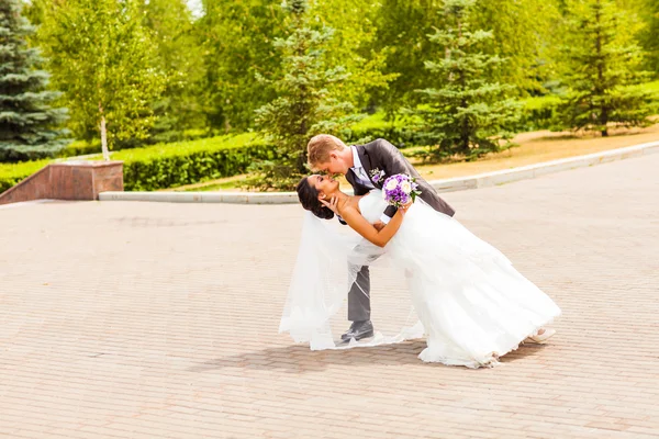 Düğün. güzel çift öpüşme — Stok fotoğraf