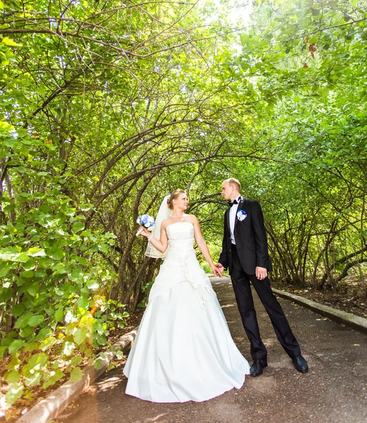 Mariée et marié dans le parc — Photo