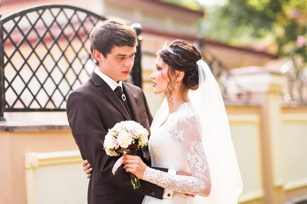 Noiva e noivo está desfrutando de casamento — Fotografia de Stock