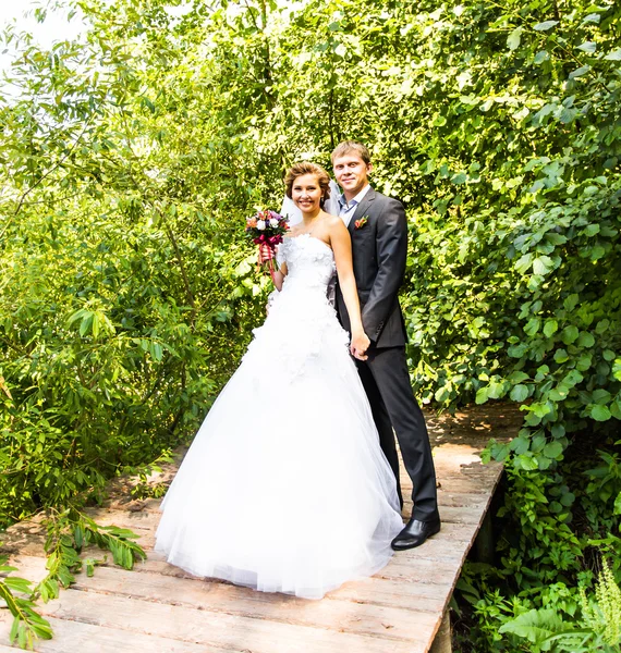 Genç düğün çift, güzel gelin ile damat portre köprüde — Stok fotoğraf