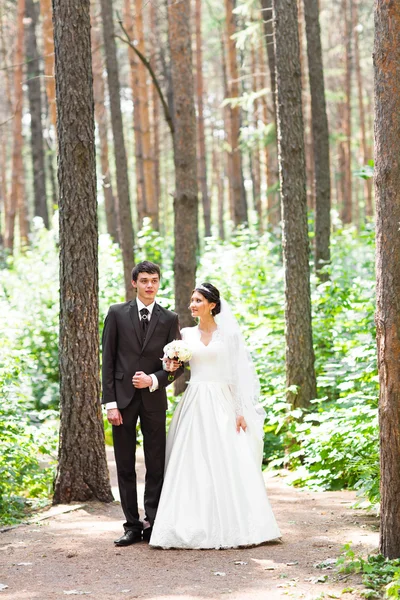 Felice sposa e lo sposo a piedi nella foresta estiva. Giovane coppia di nozze . — Foto Stock