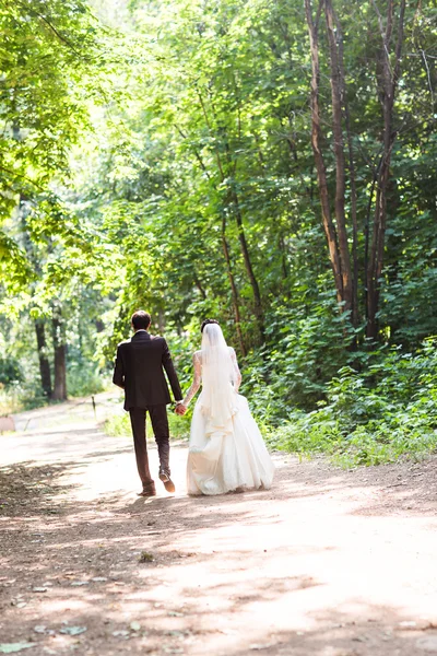 Вид ззаду тримає руки нареченого і нареченого — стокове фото