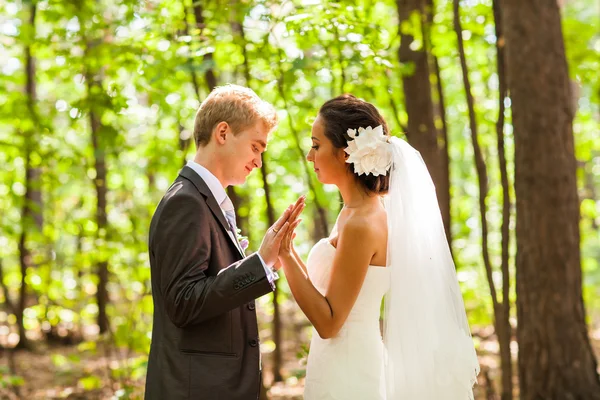 Novia y novio en un momento romántico — Foto de Stock