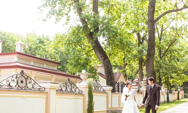 Genç Düğün çifti birlikte parkta yürüyüş — Stok fotoğraf