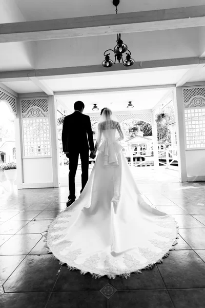 Vista posteriore di tenere le mani sposa e sposo — Foto Stock