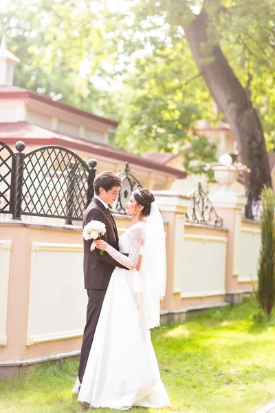 Joven pareja de boda caminando juntos en el parque —  Fotos de Stock