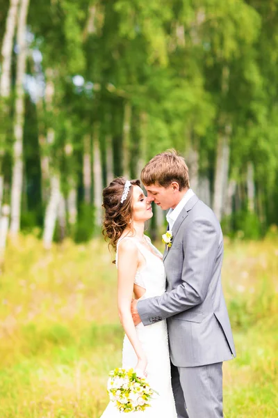 Young beautiful wedding couple hugging in a field with grass. — Stock Photo, Image