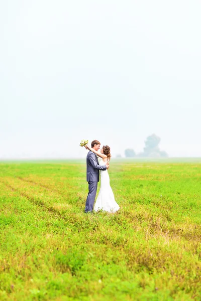 Young wedding couple, beautiful bride with groom portrait, summer nature outdoor — Stock Photo, Image