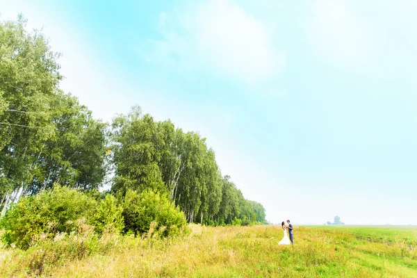 Jonge mooie bruidspaar knuffelen in een veld met gras. — Stockfoto