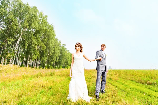 Jeune couple de mariage, belle mariée avec marié portrait, été nature en plein air — Photo