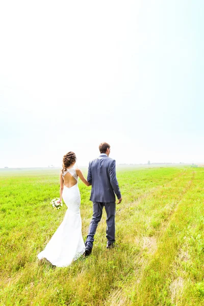 Jovem casal de casamento, noiva bonita com retrato do noivo, verão natureza ao ar livre — Fotografia de Stock