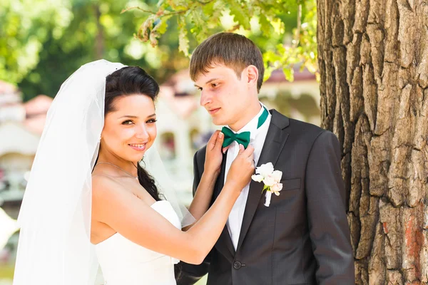 Noiva e noivo tendo um momento romântico em seu dia do casamento — Fotografia de Stock