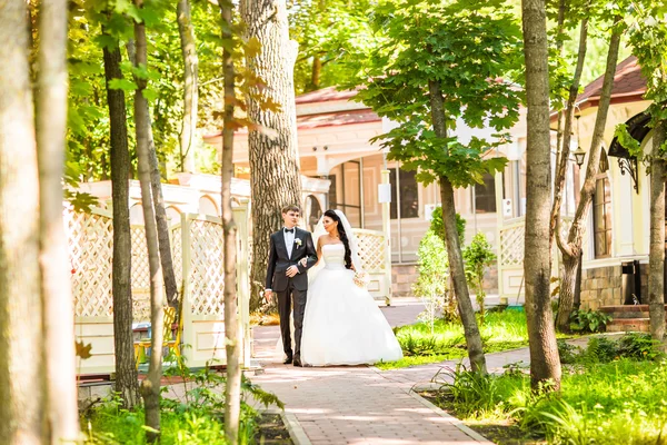 Sposo e Sposo al matrimonio Giorno a piedi all'aperto. Sposi novelli nel parco . — Foto Stock