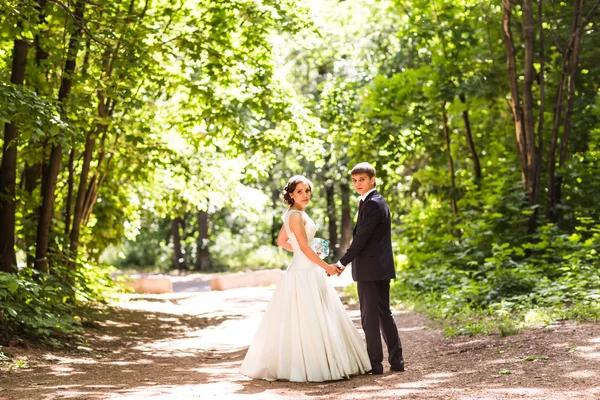 Novia y novio tomados de la mano —  Fotos de Stock