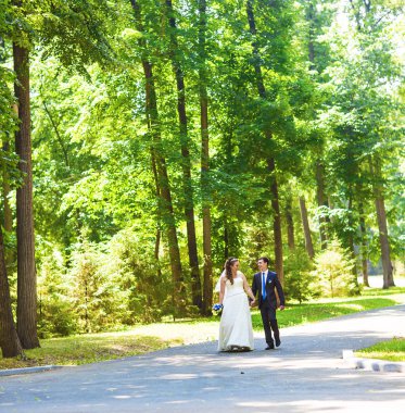 Yeni evli çift el ele tutuşarak park yollarında yürüyüş