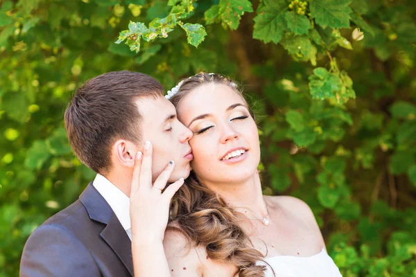 Красива наречена і наречена насолоджується весіллям — стокове фото
