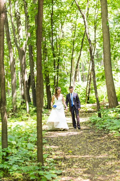 Casamento recém-casado casal andar em caminhos do parque de mãos dadas — Fotografia de Stock