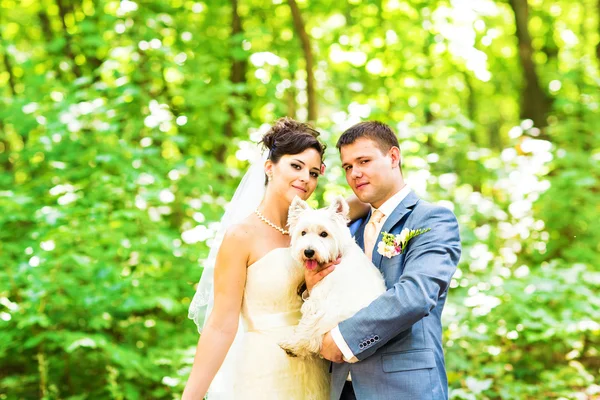 Наречений і наречений з собакою Західний високогірний білий тер'єр — стокове фото
