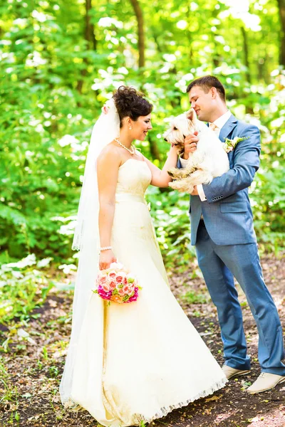 Mariée et marié avec chien West Highland terrier blanc — Photo