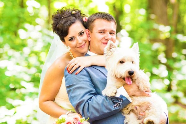 Невеста и жених с собакой западный высокогорный белый терьер — стоковое фото