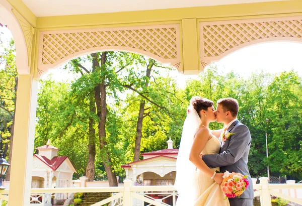 Schönes Hochzeitspaar im Park. Kuss und Umarmung — Stockfoto