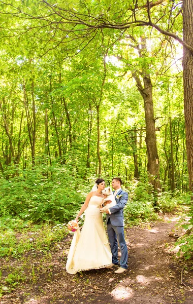 Sposa e sposo a piedi con cane West Highland bianco terrier — Foto Stock
