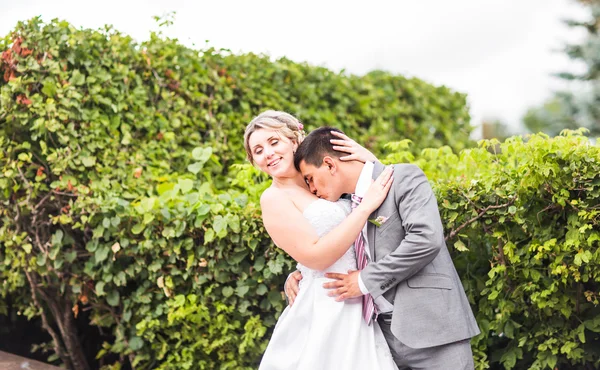 Noiva feliz e noivo em seu casamento — Fotografia de Stock