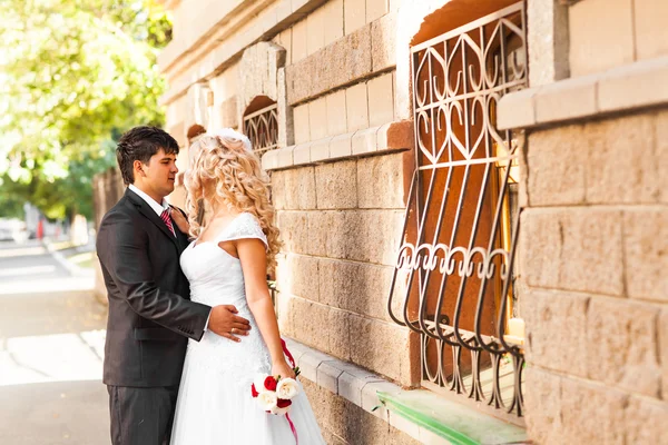 Adorável casal apaixonado beijando uns aos outros no dia de um casamento — Fotografia de Stock