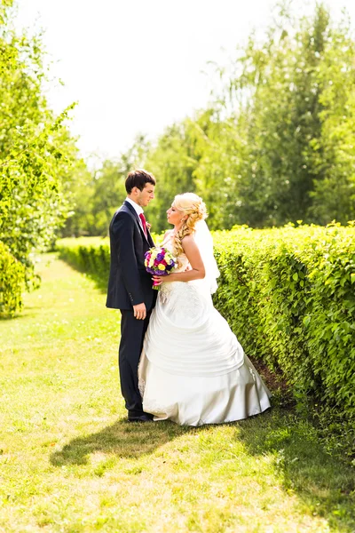 Mooi bruidspaar in park. — Stockfoto