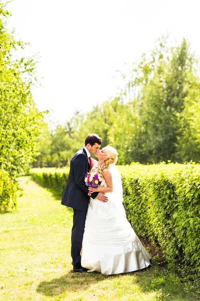 Casamento casal abraçando, a noiva segurando um buquê de flores em sua mão — Fotografia de Stock