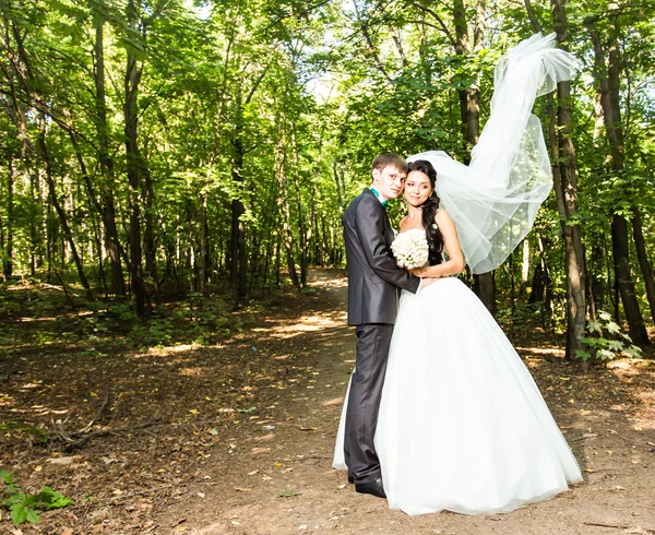 Un couple nouvellement marié. Vent levant long voile nuptial blanc — Photo