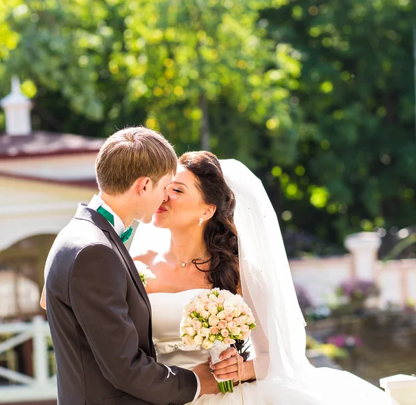 Свадьба, красивая романтическая невеста с поцелуями жениха и объятия — стоковое фото