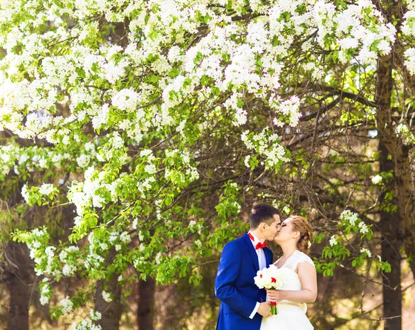 Embrasser couple de mariage au printemps nature — Photo