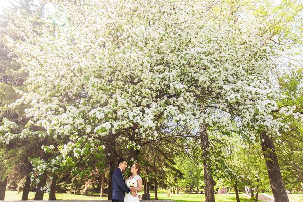 Casamento casal na natureza primavera — Fotografia de Stock