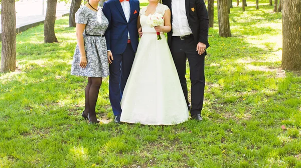 Los novios con los invitados — Foto de Stock