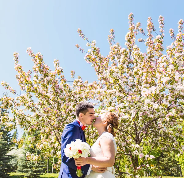 春の自然の結婚式のカップルのキス — ストック写真