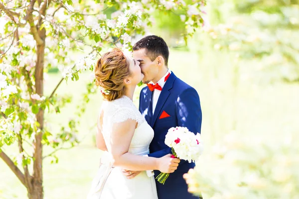 Casamento casal na natureza primavera — Fotografia de Stock