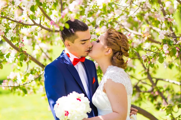 Kissing wedding couple in spring nature Stock Picture