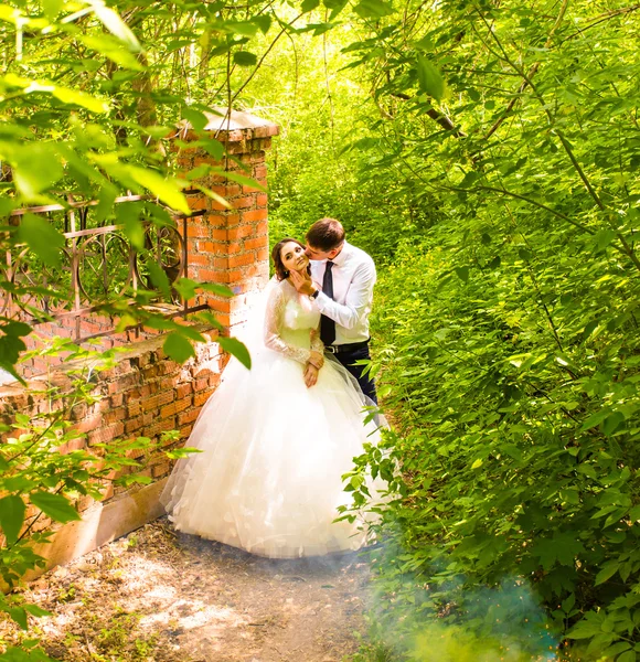 公園での結婚式。霧 — ストック写真