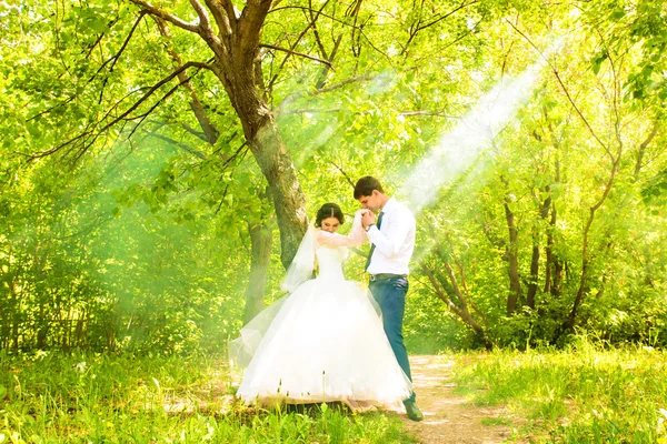 Mariage dans le parc. Brouillard — Photo