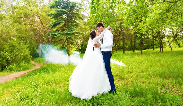 Весілля в парку. Туман — стокове фото