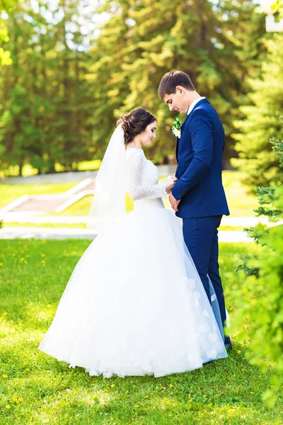 Mariée européenne et marié câlins dans le parc — Photo